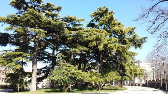 Parco dei Canapè
